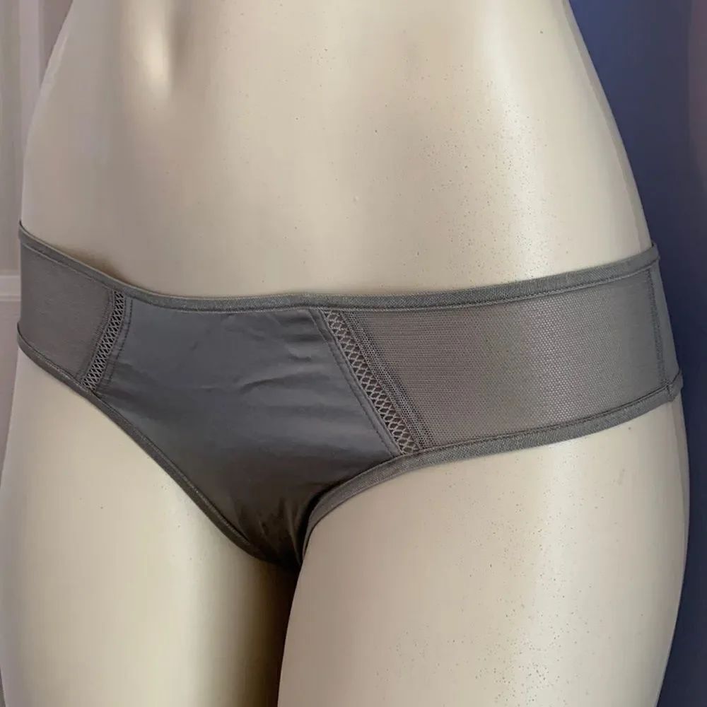 Victoria’s Secret Silk MeshBikini Hipster Panties Underwear